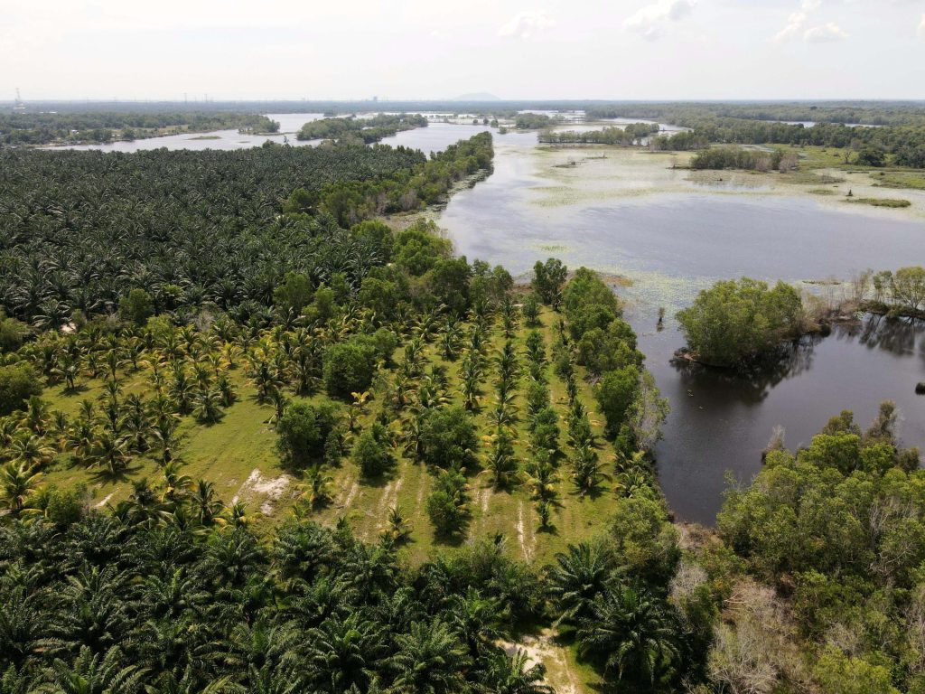 Banting Paya Indah Wetlands Land For Sale - 02