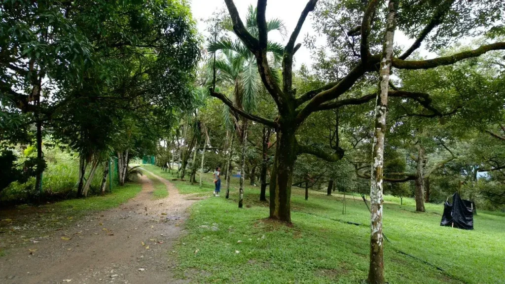 Durian Estate & Hilltop Bungalow - 01