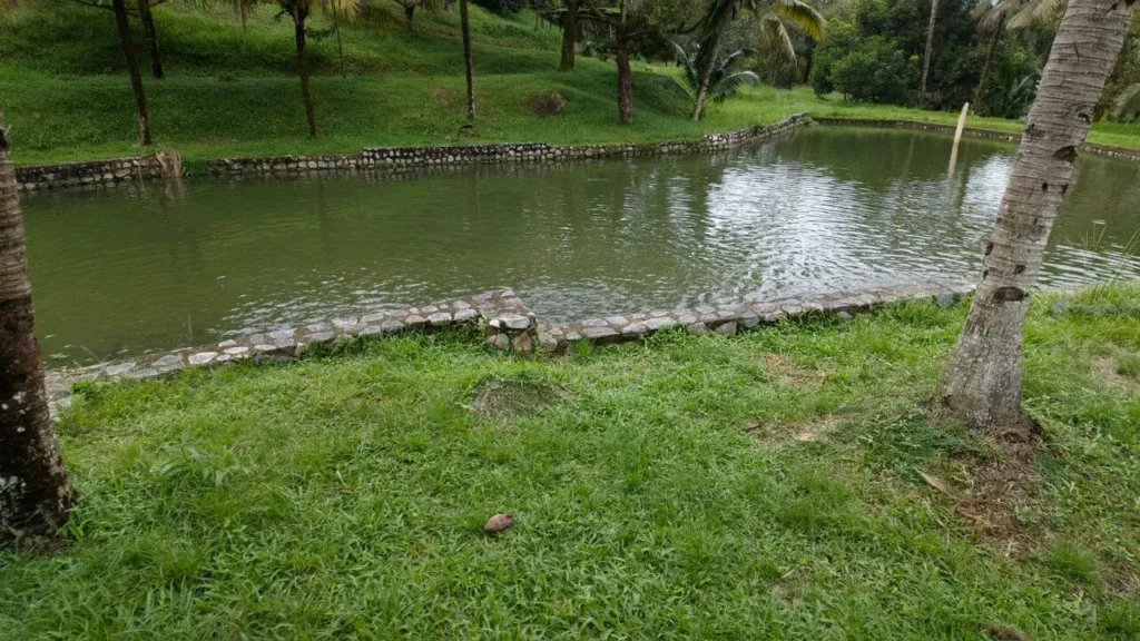 Durian Estate & Hilltop Bungalow - 07