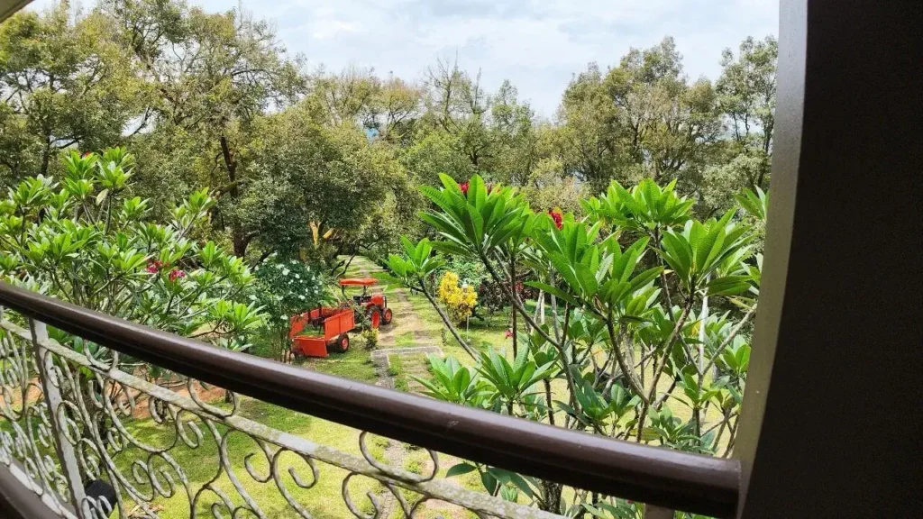 Durian Estate & Hilltop Bungalow - 09